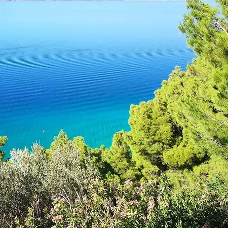 Beautiful 80 M From The Sea *